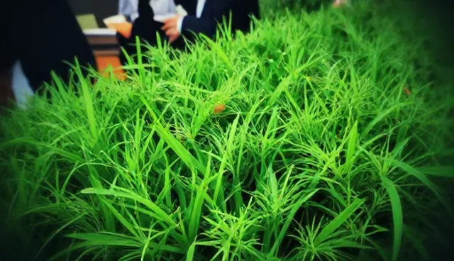 汽车救援服务中钣金喷漆的理解误区分析
